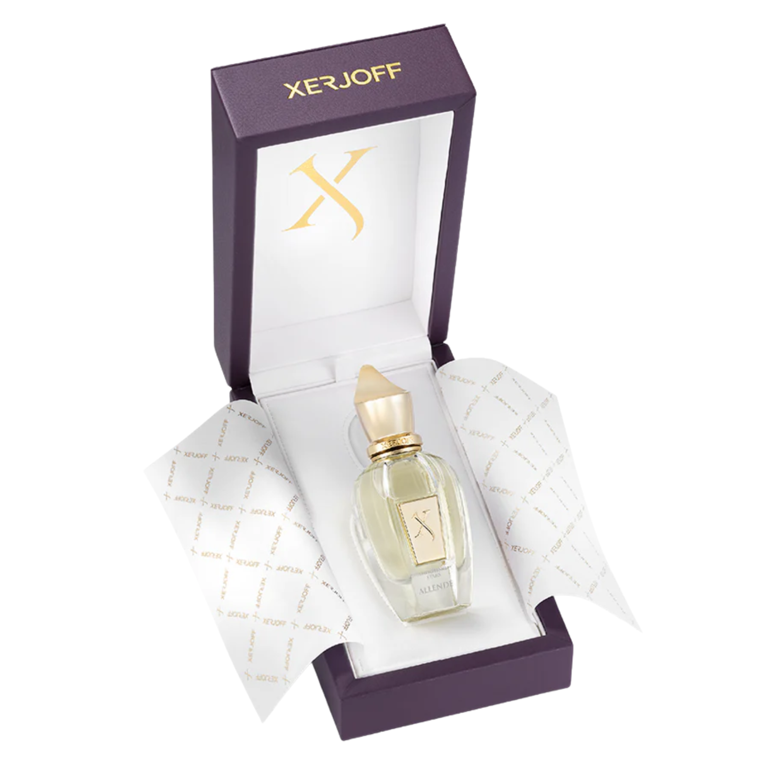 Shooting Stars Allende