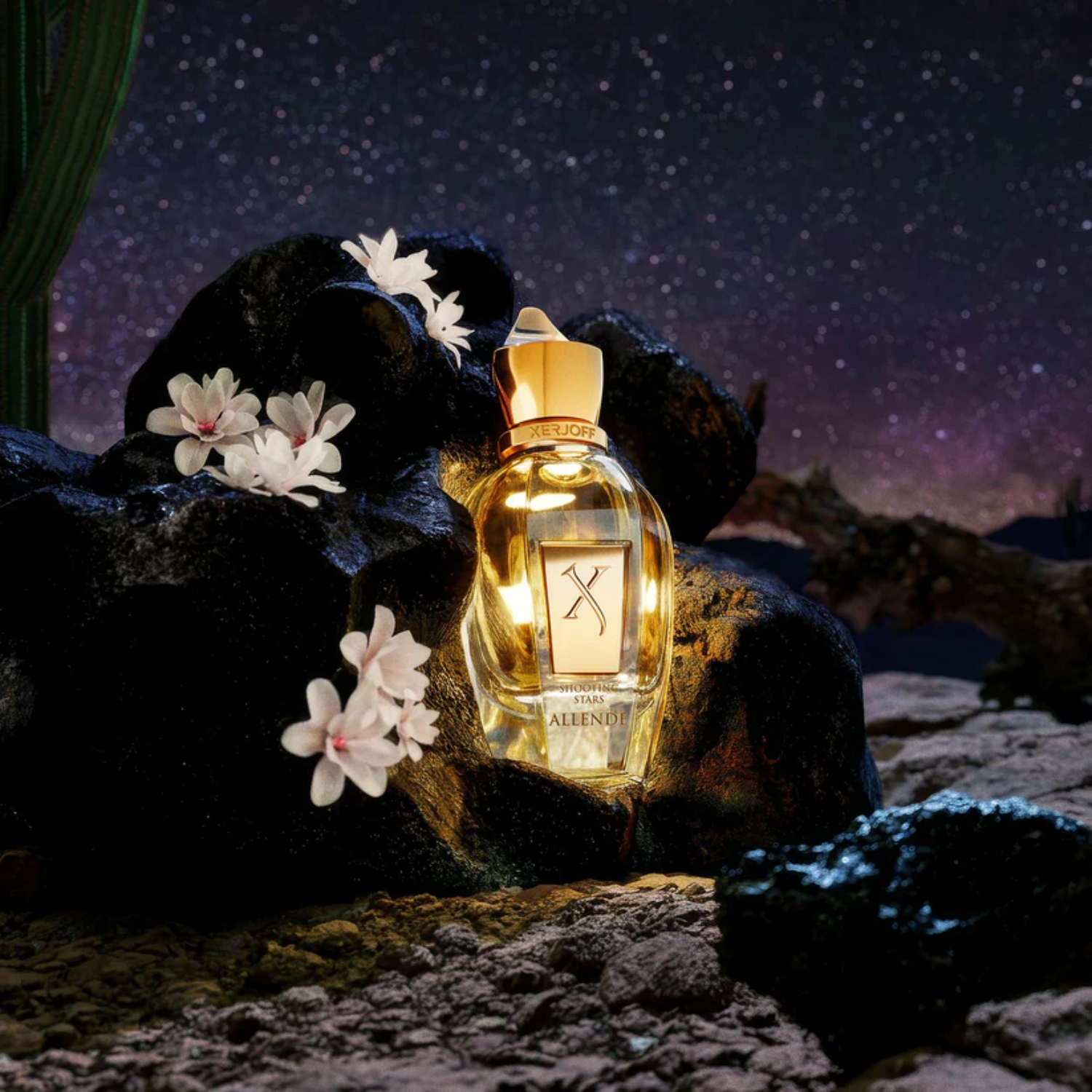 Shooting Stars Allende