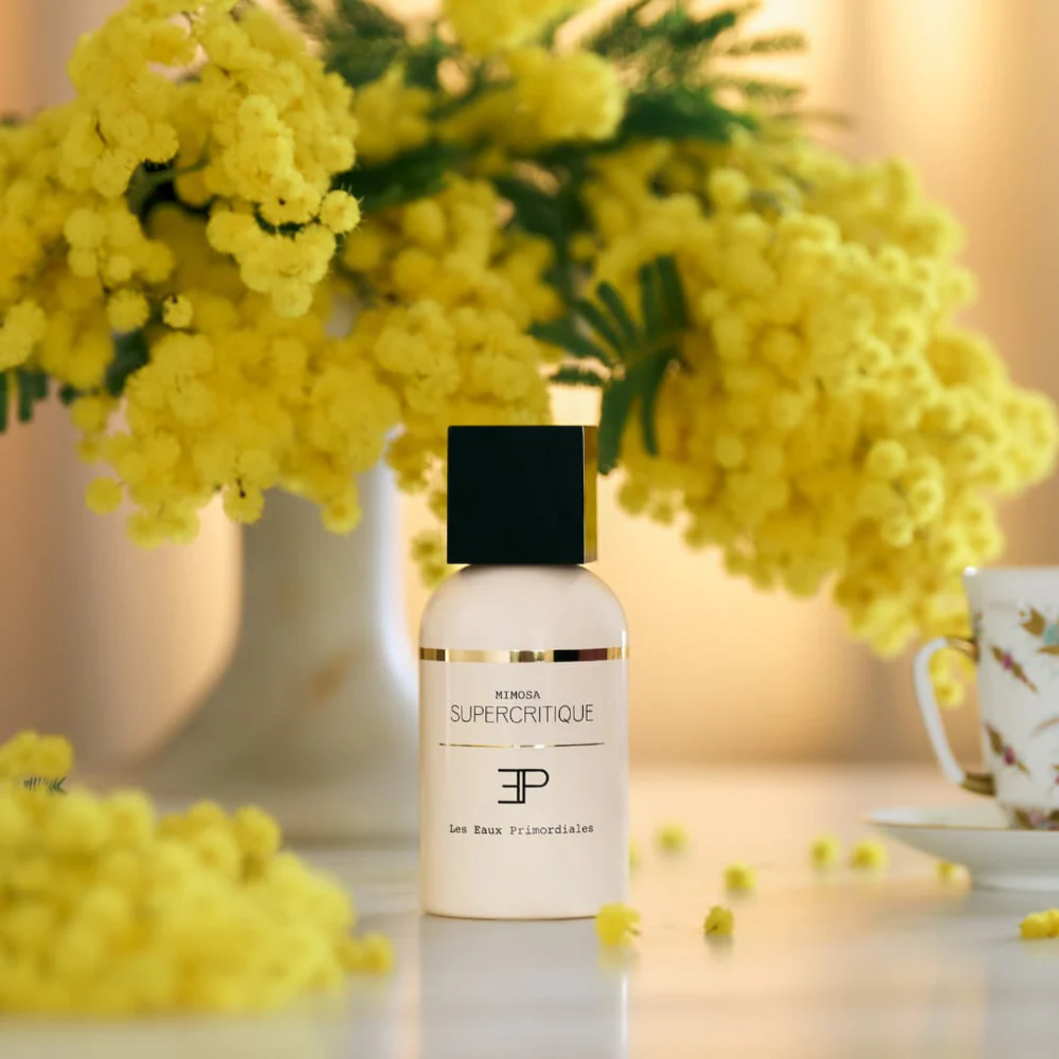 Supercritique Mimosa