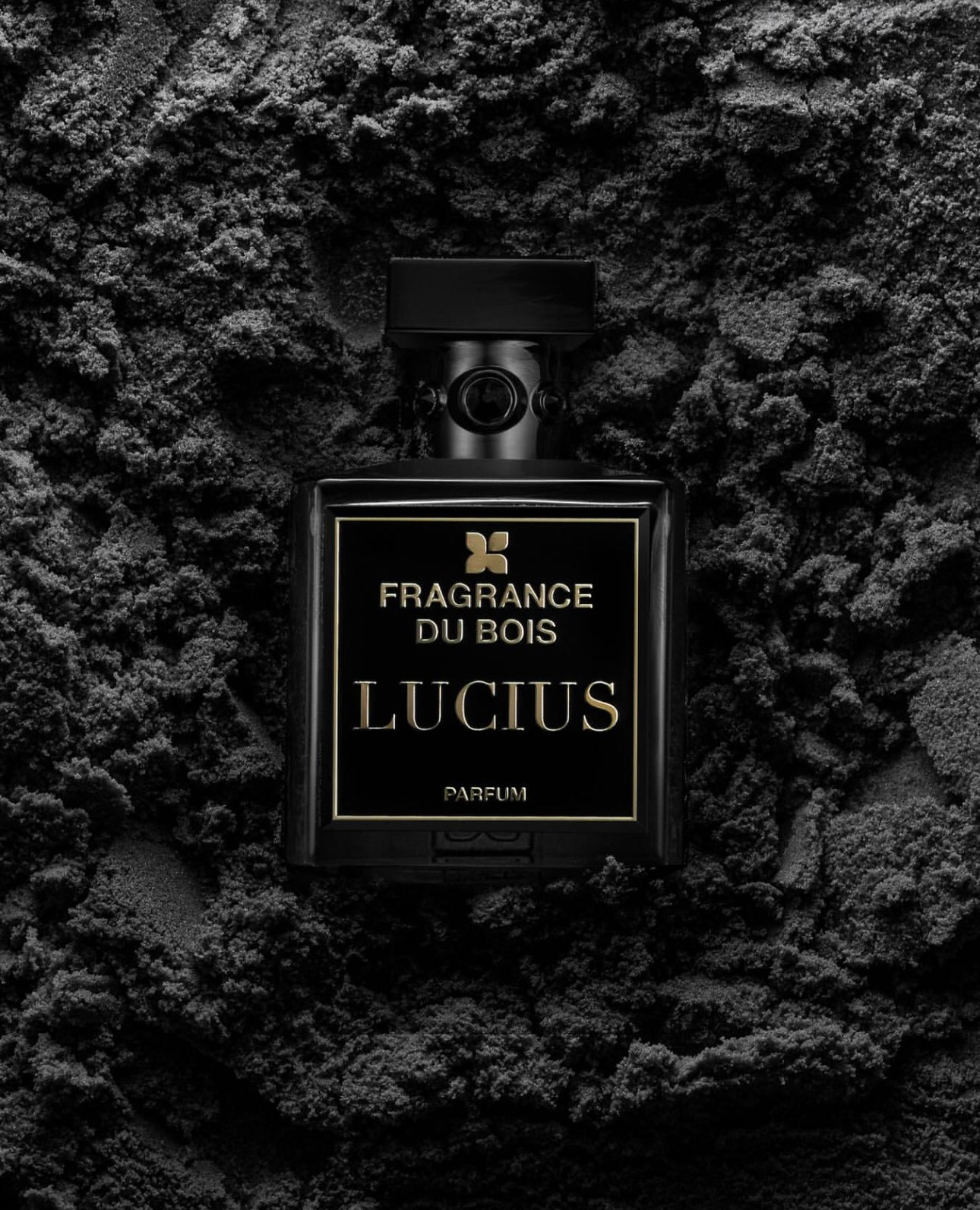 Lucius · Sample Duo