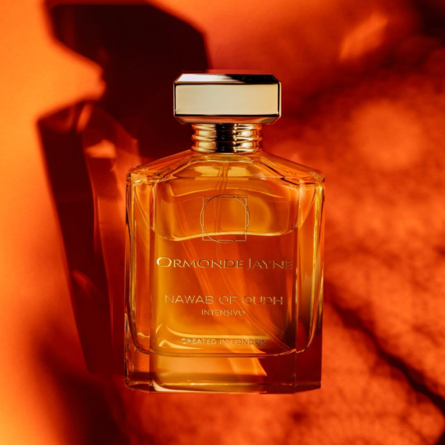 Nawab of Oudh Intensivo